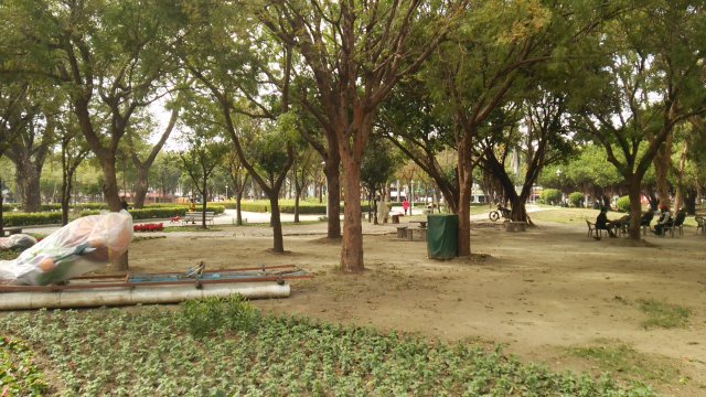水萍塭公園内の木々